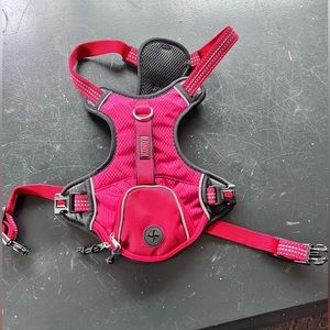 Dog harness - Kong Red, medium size